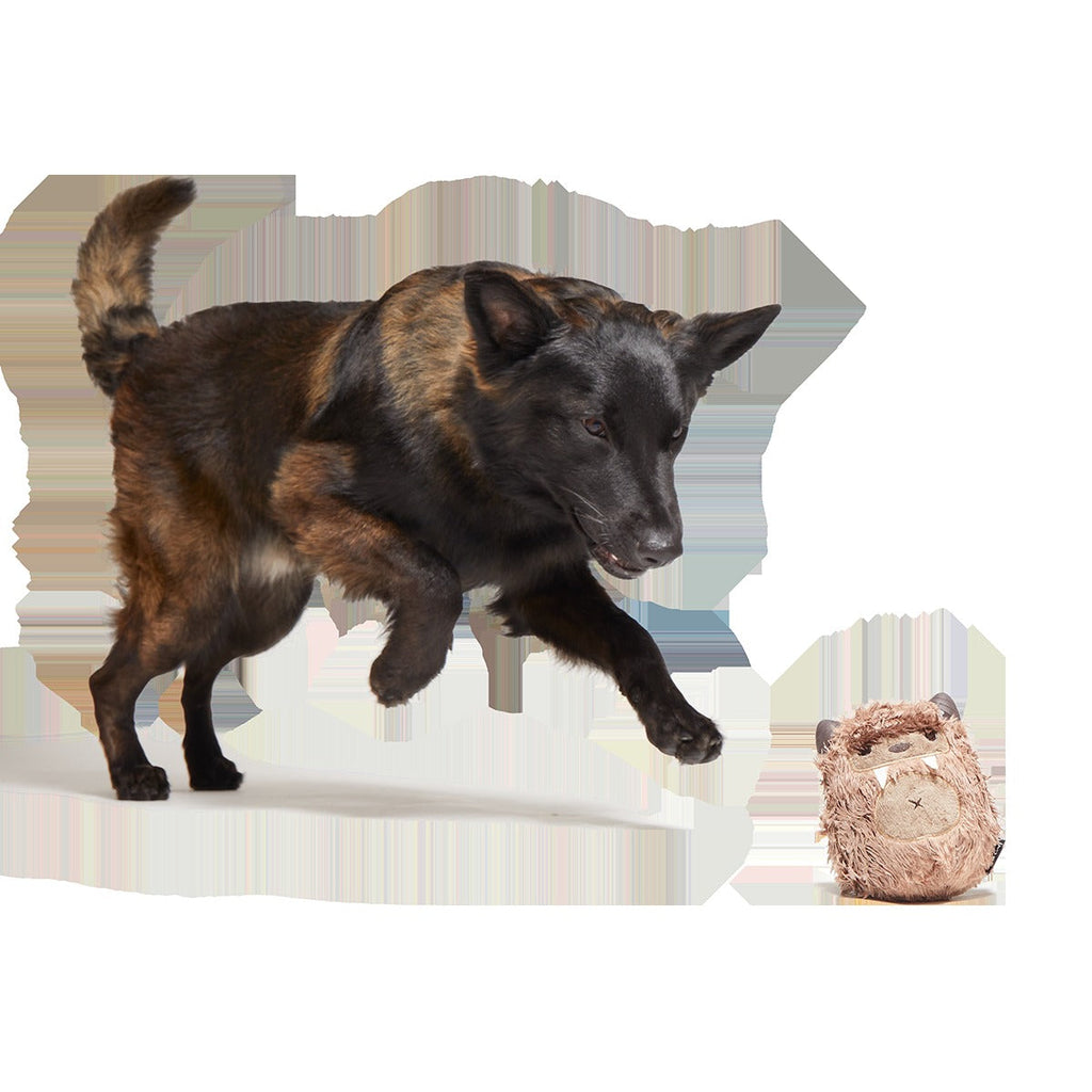 Hairwolf Super Chewer Durable 2-in-1 + Enrichment Dog Toy