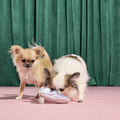 Nessa's Squeakin' Slipper Plush Enrichment Dog Toy