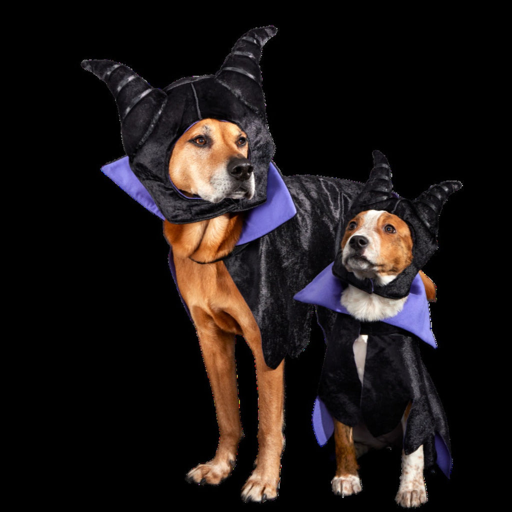Maleficent Dog Costume