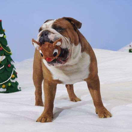 Reindeer GamesTM Rudolph® Durable Super Chewer Enrichment + 2-in-1 Rip and Reveal Dog Toy