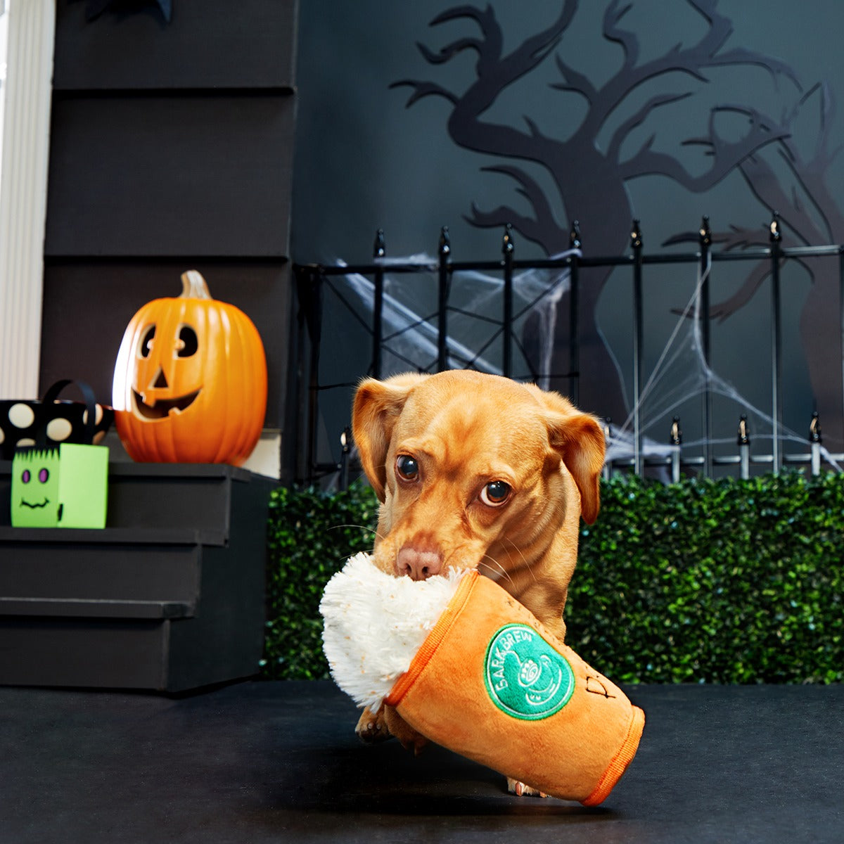 Puggin Spice Latte Plush Dog Toy
