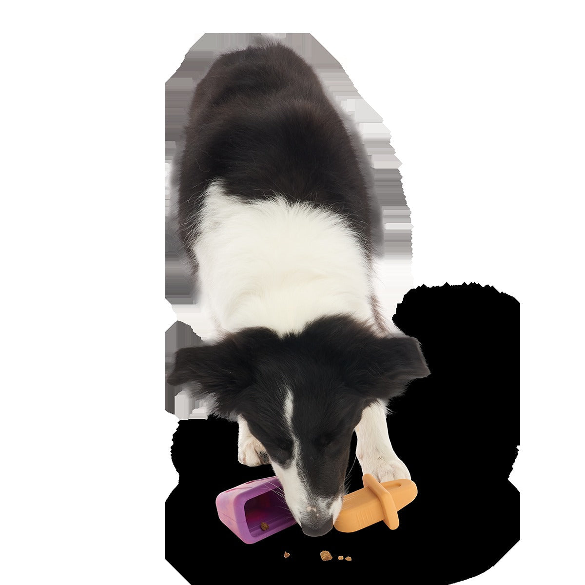 Chill N' Chomp Ice Pop Kit Super Chewer Durable Enrichment Dog Toy