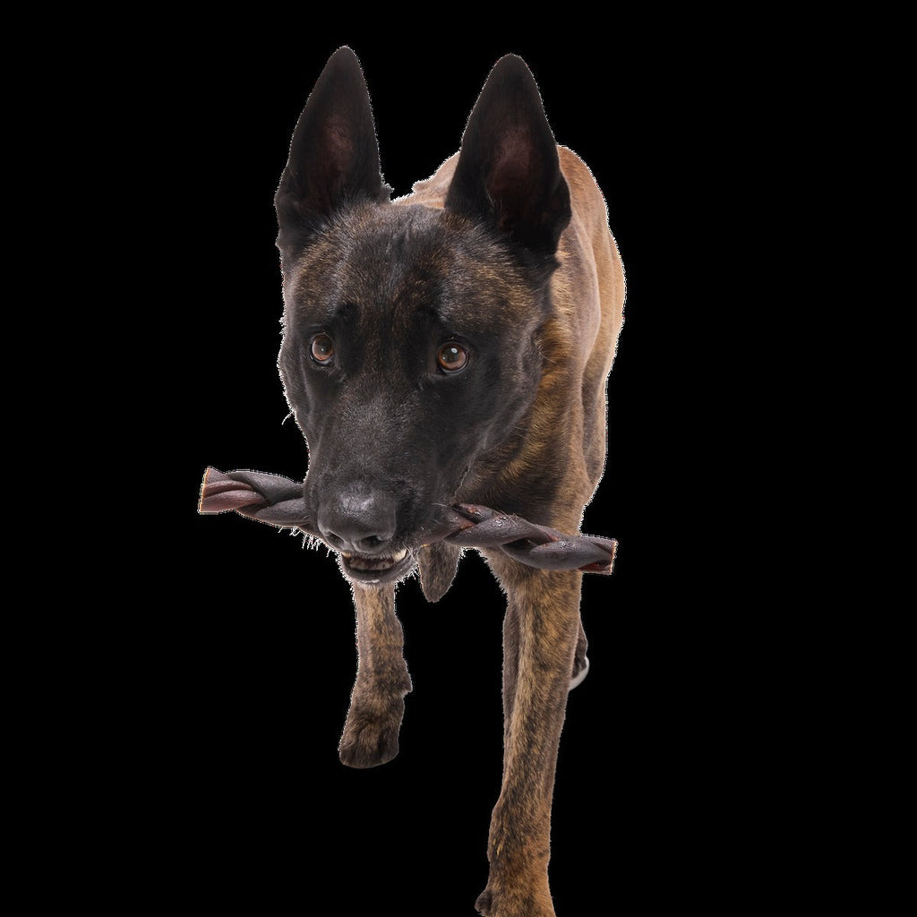 Beef Braided Collagen Dog Chew, Single, 9"