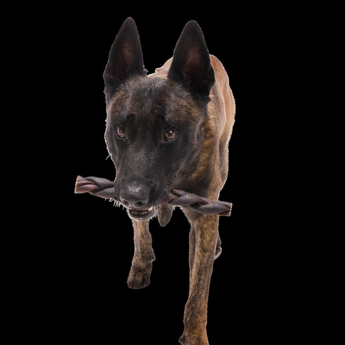 Beef Braided Collagen Dog Chew, Single, 9"