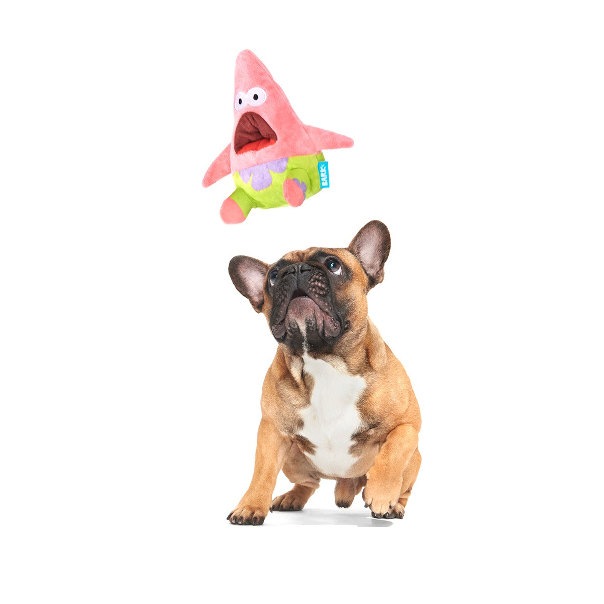 Surprised Patrick Plush Enrichment Dog Toy