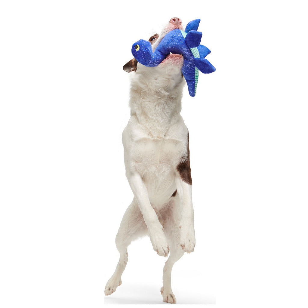Luke Ness Monster Plush Tug Dog Toy