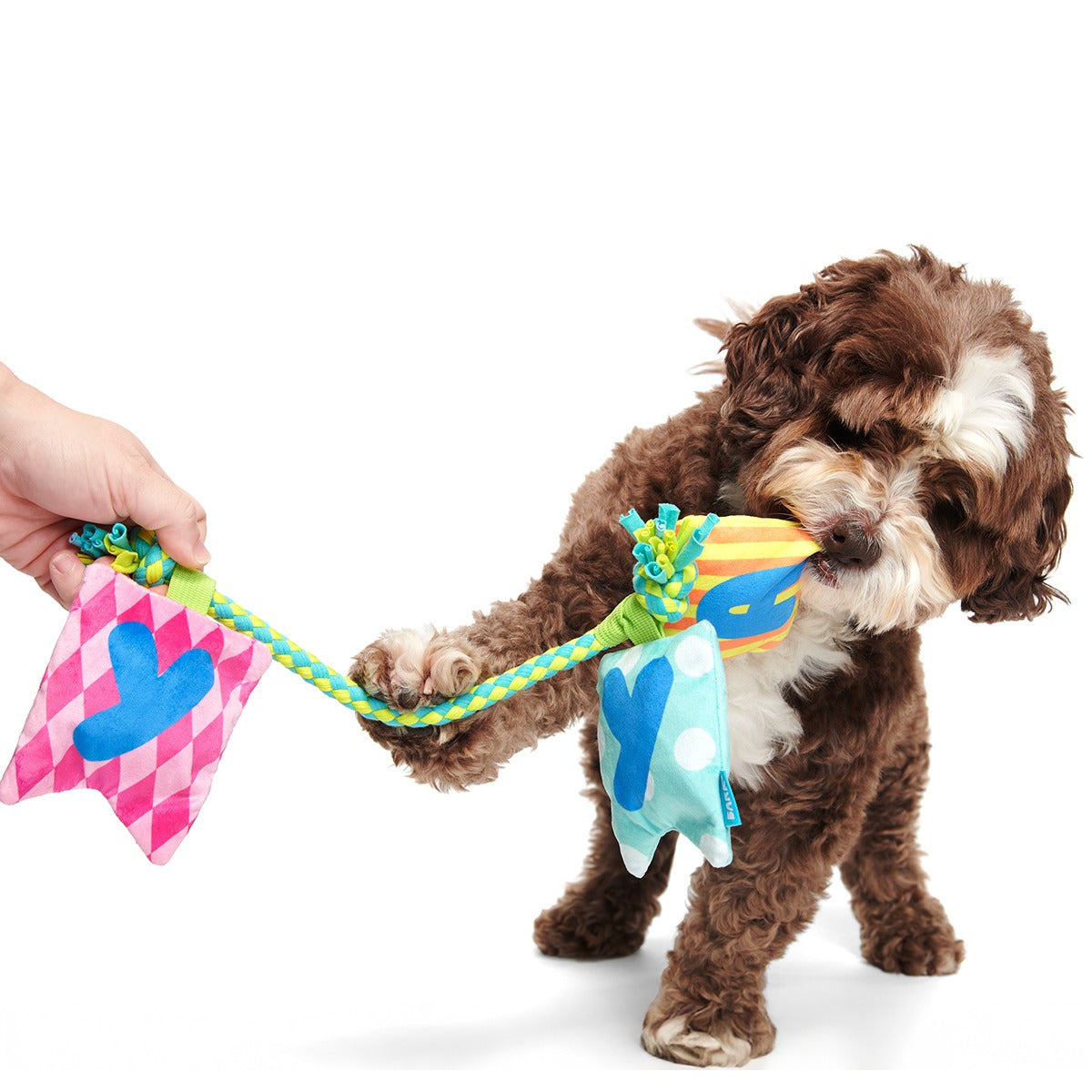 Happy Yay Banner Plush Tug Dog Toy
