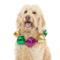 Mardi Growl Necklace Plush Wearable Tug Dog Toy
