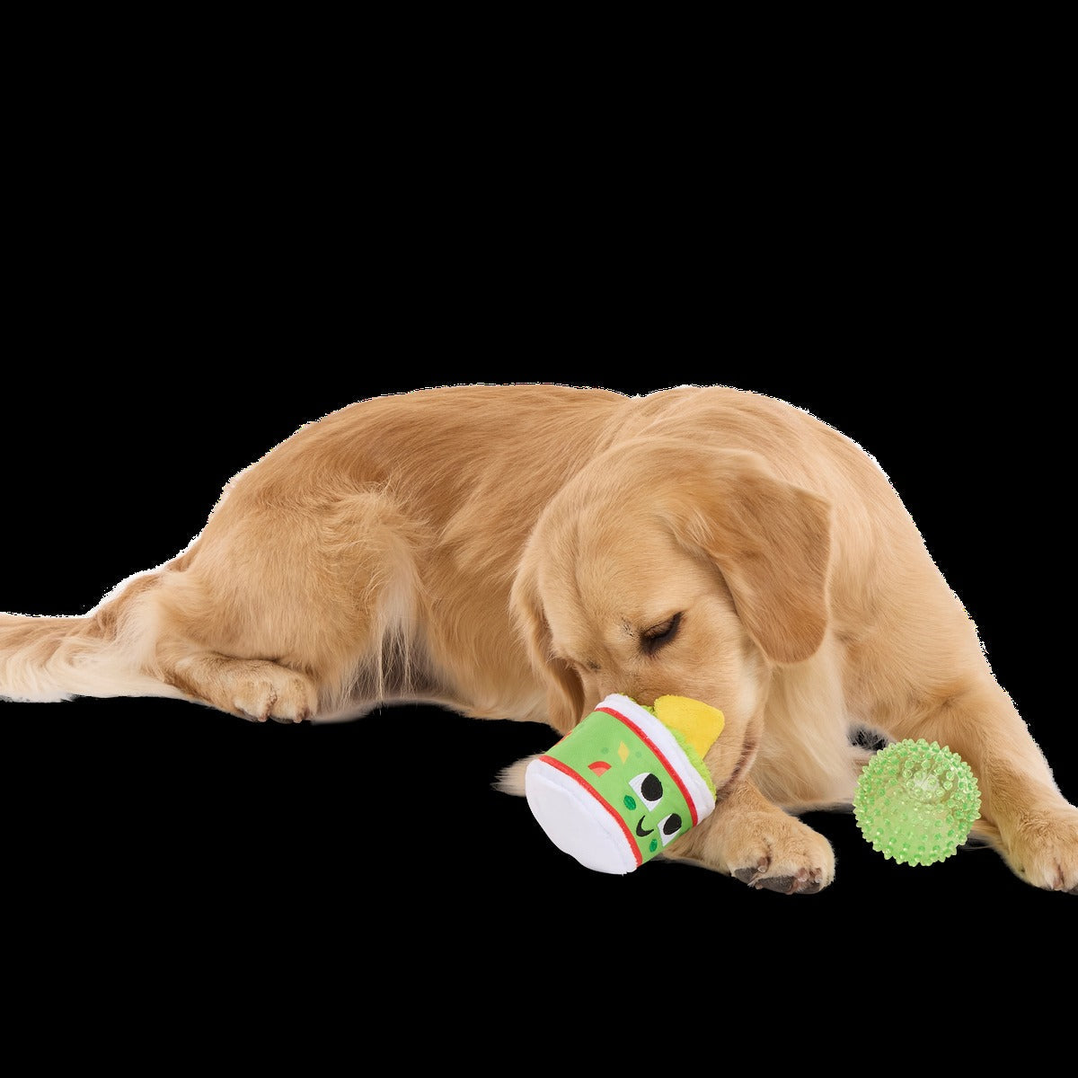 Guac A-Molly Plush Multi-Part + Fetch + Enrichment Dog Toy