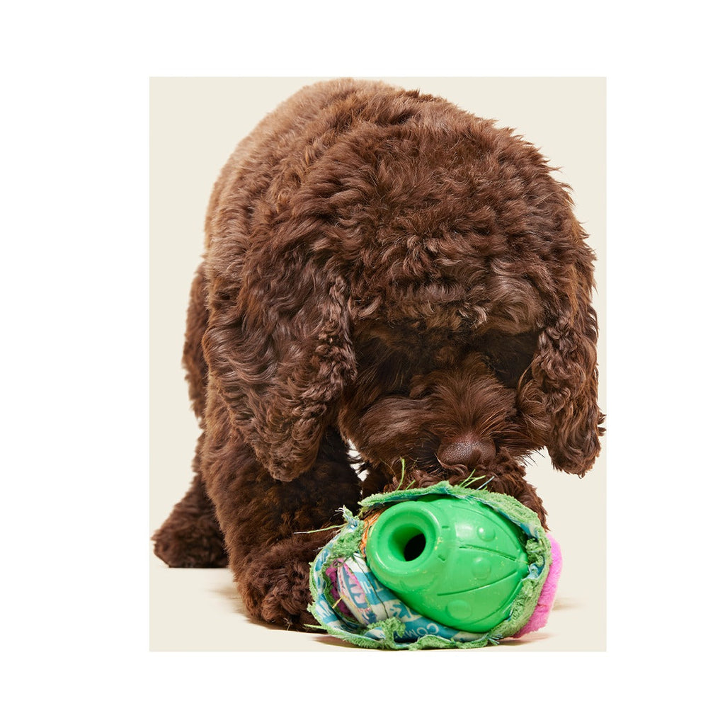 Snactus Super Chewer Durable 2-in-1 + Enrichment Dog Toy