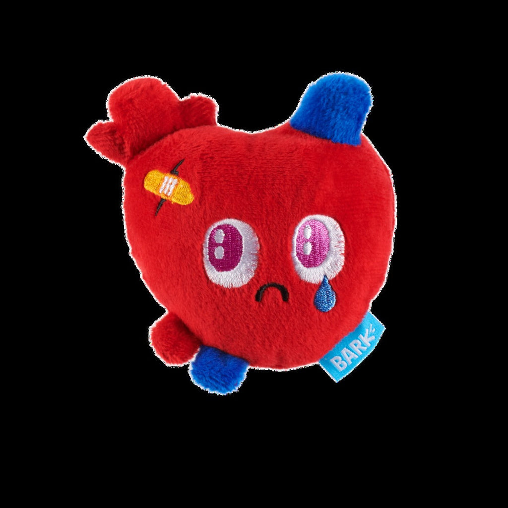 Broken Heart Ted Plush Dog Toy