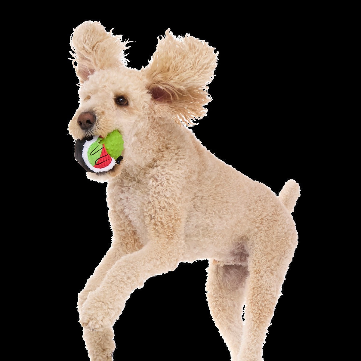 Sushi Roller Super Chewer Durable 2-in-1 + Fetch Dog Toy