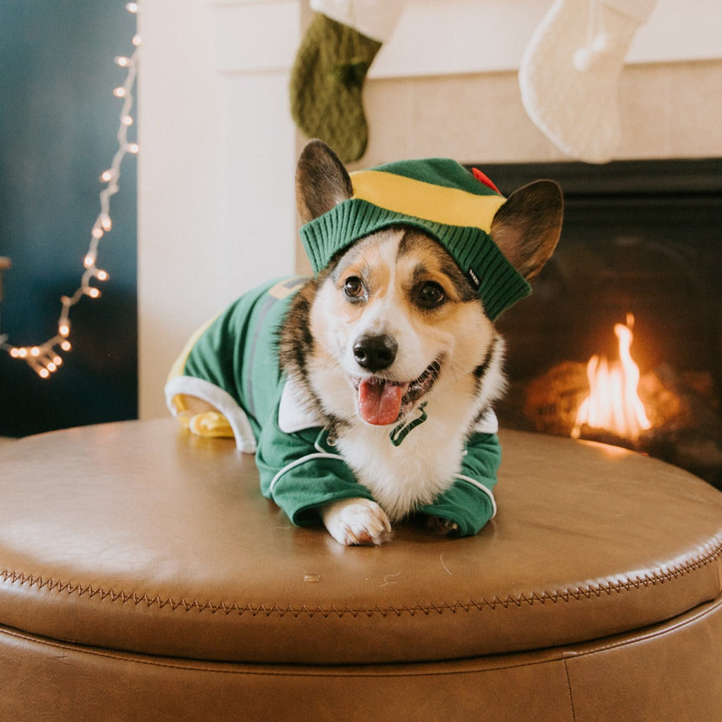 Elf Dog Toy & Treat Holiday Gift Box
