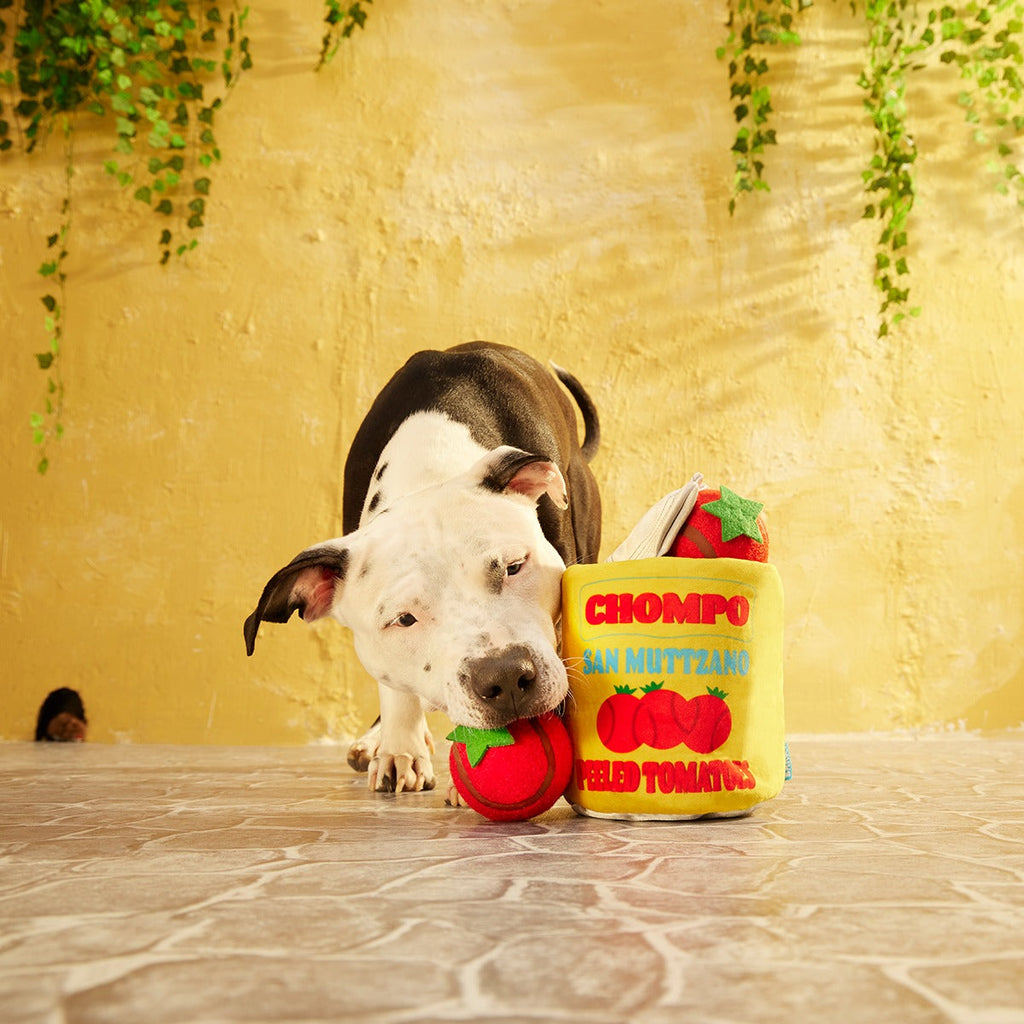 San Muttzano Tomatoes Plush Multi-Part + Enrichment + Fetch Dog Toy