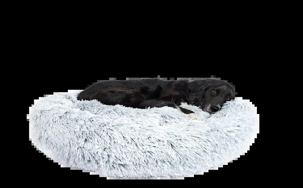 Dog Bed