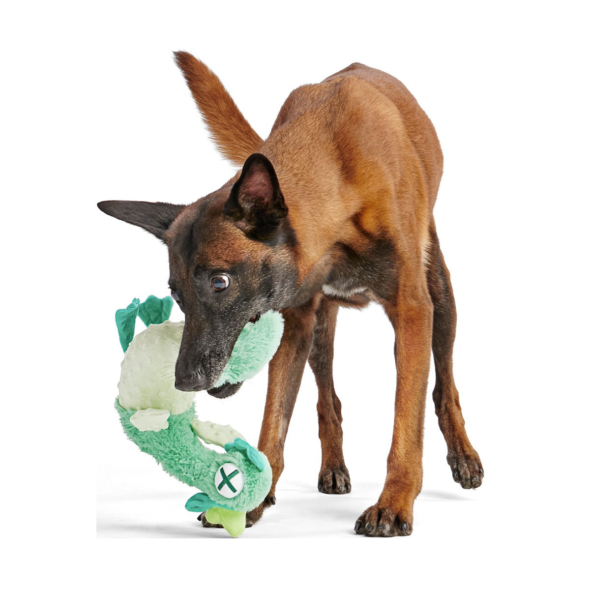 Poultrygeist Plush Tug Dog Toy