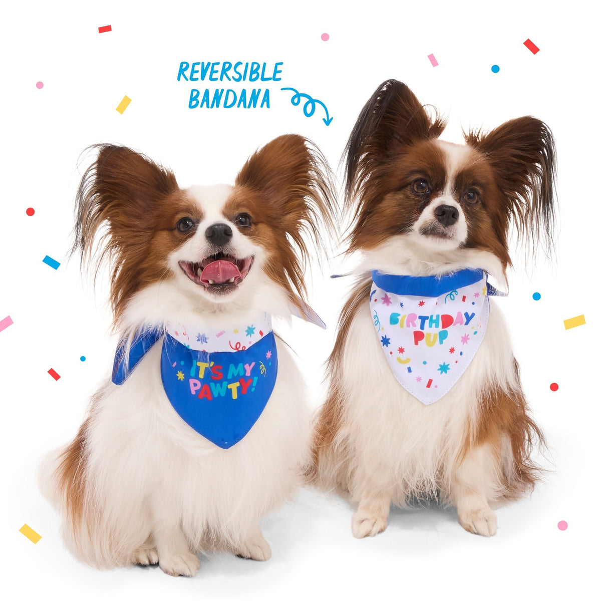 Birthday Super Chewer Gift Box