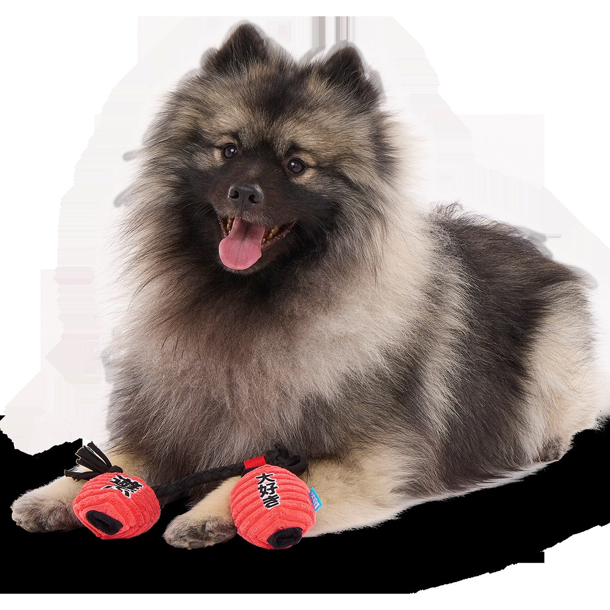 Pupper Lanterns Plush Tug Dog Toy