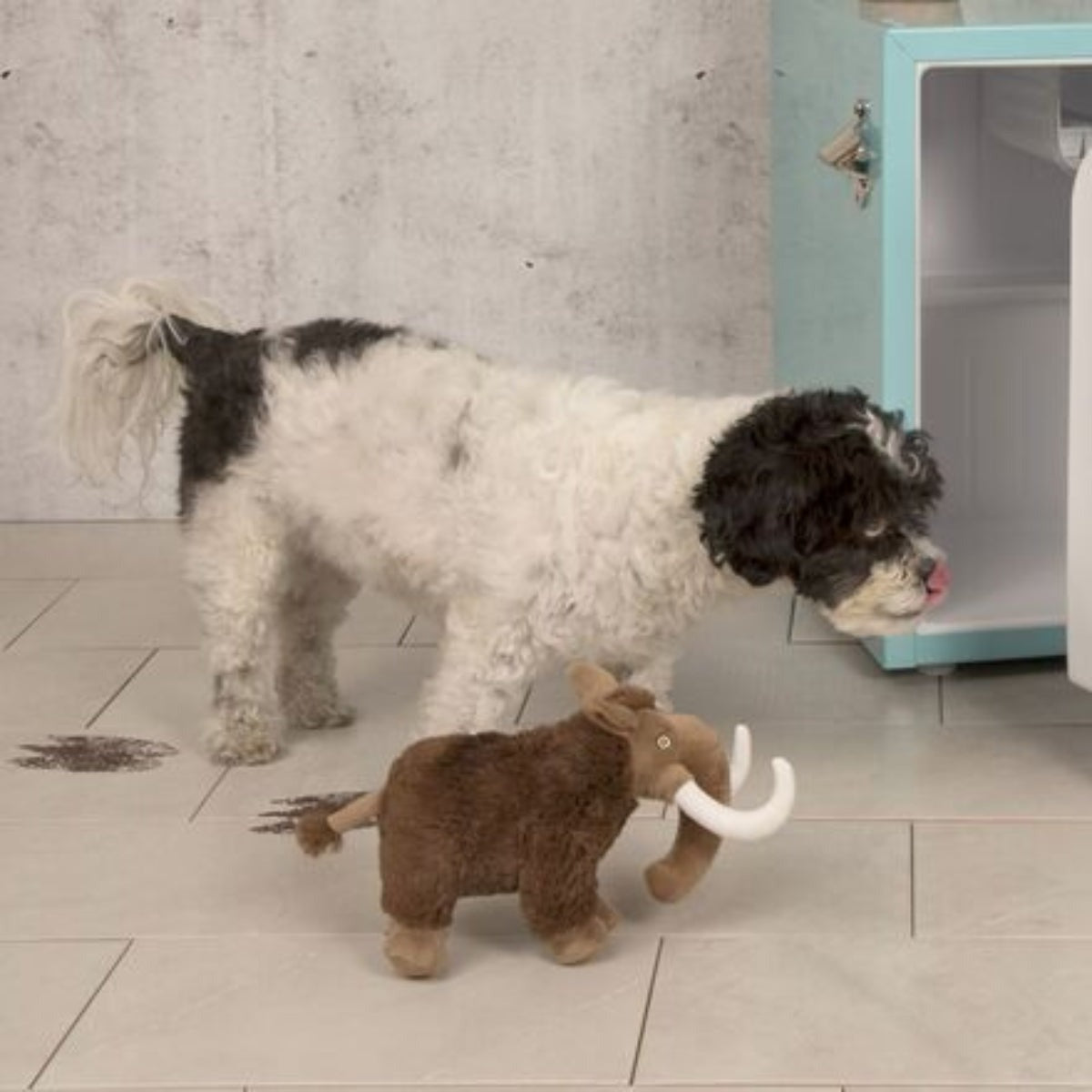 Winston the Wooly Mammoth Plush Tug Dog Toy