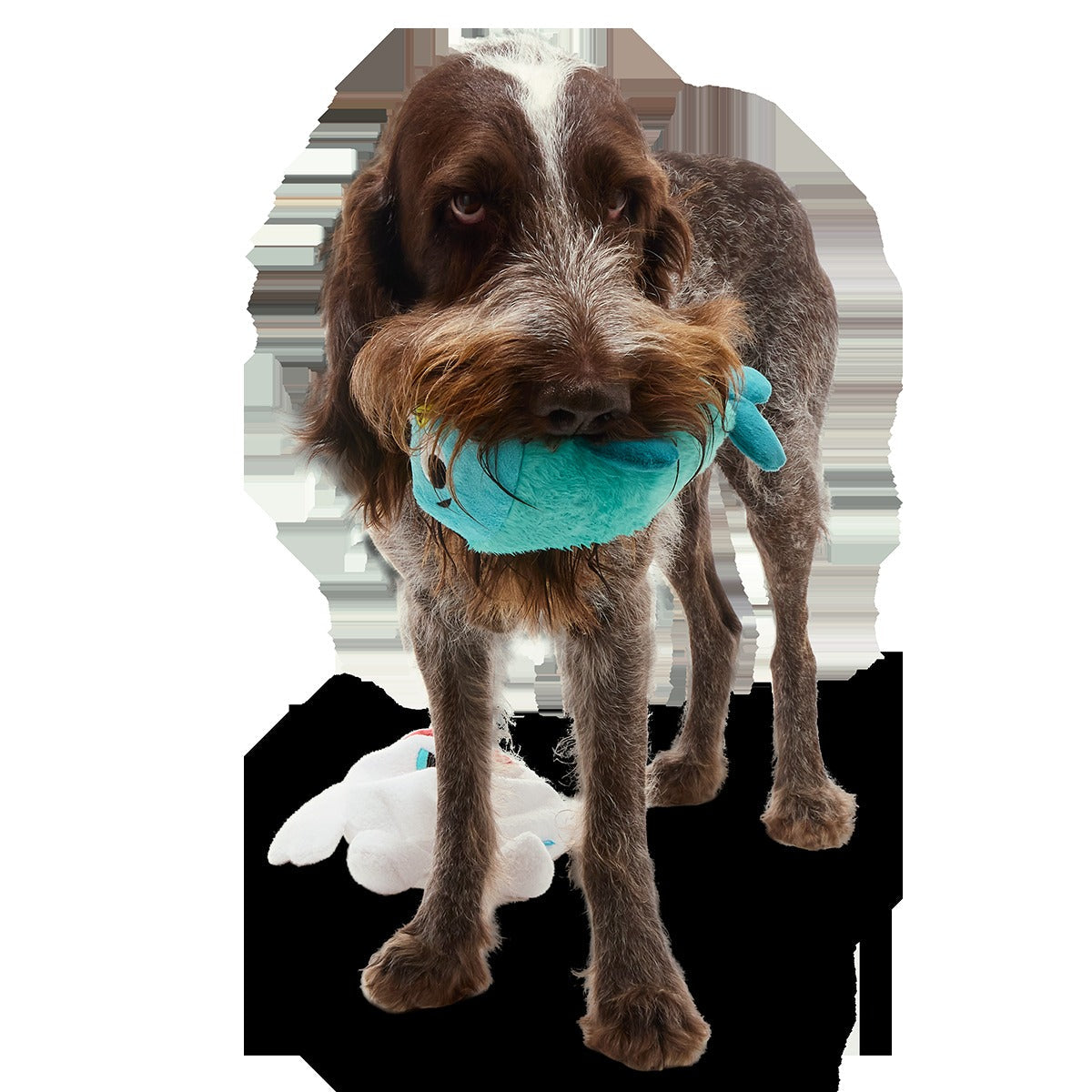 Polar Bear Vortex Plush Extra-Large + 2-in-1 Dog Toy