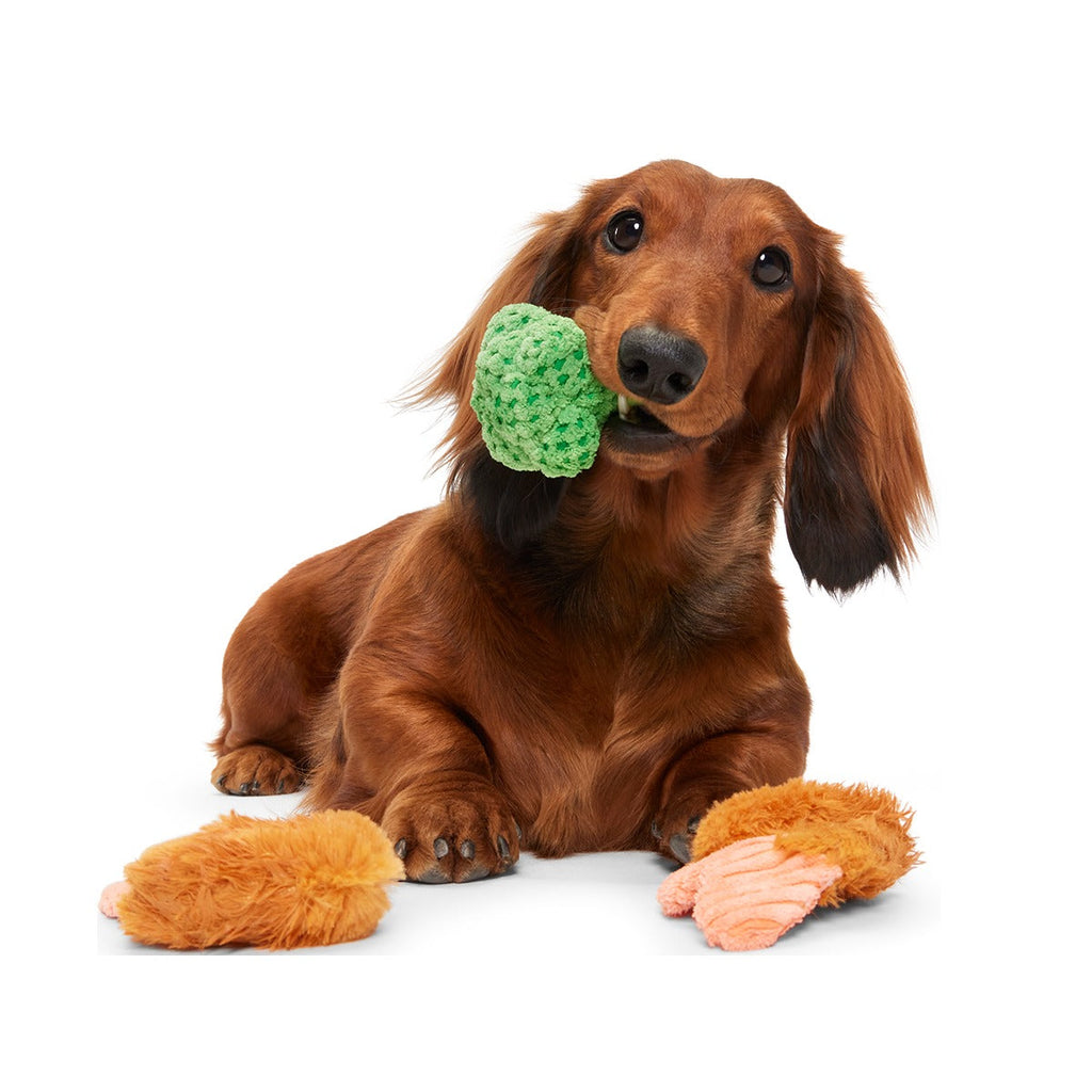 Sizzlin' Sea & Tree Sampletizer Plush Multi-Part + Enrichment Dog Toy