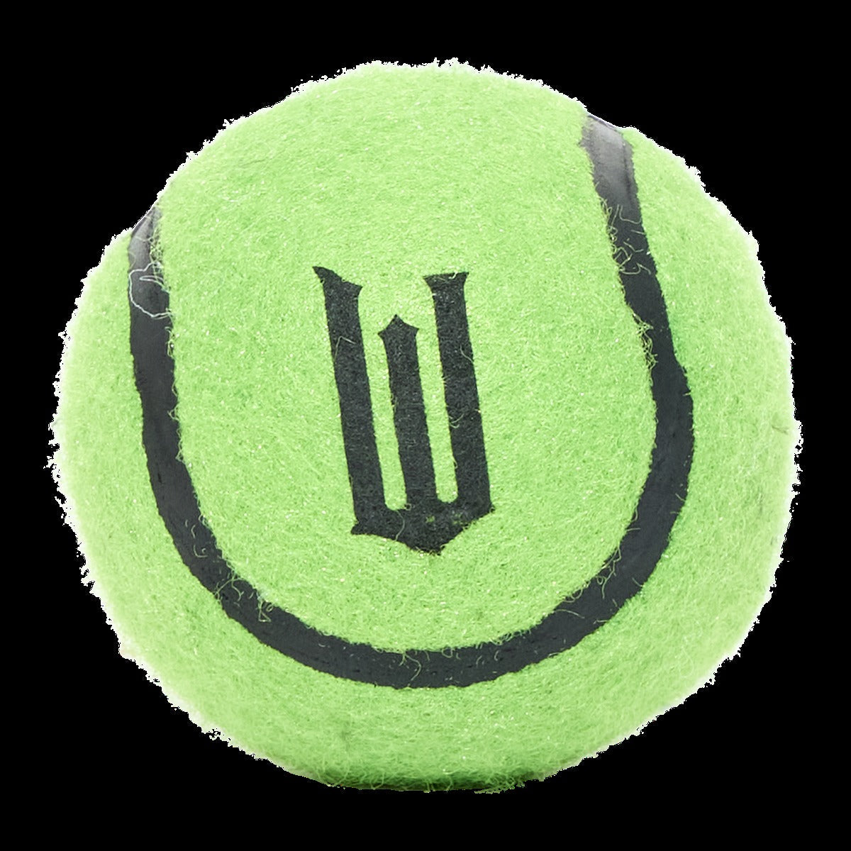 Elphaba's Ozdust Hat Plush 2-in-1 + Fetch Dog Toy