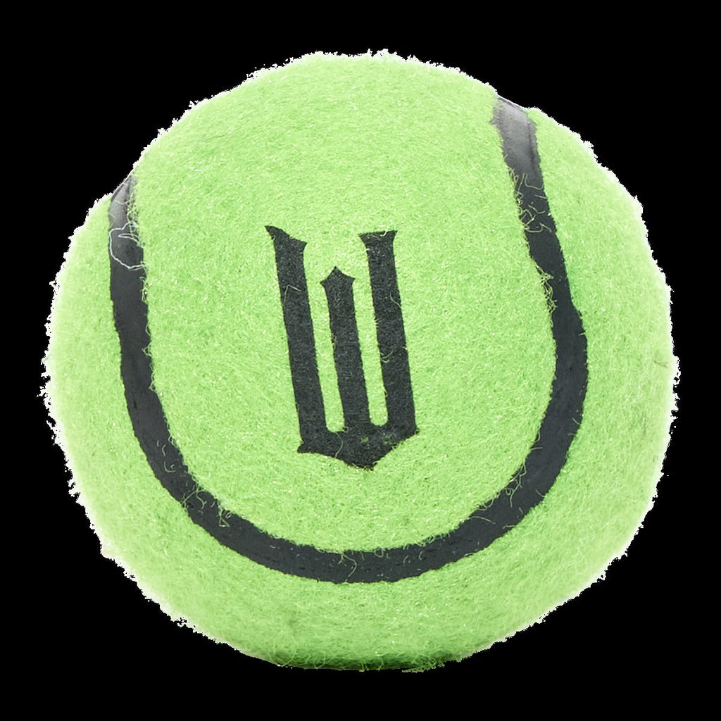 Elphaba's Ozdust Hat Plush 2-in-1 + Fetch Dog Toy