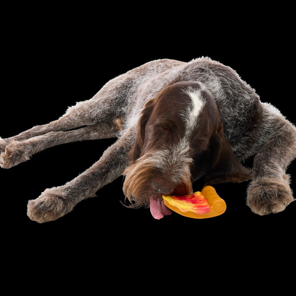 Barkaroni Slice Super Chewer Durable Gnaw Dog Toy