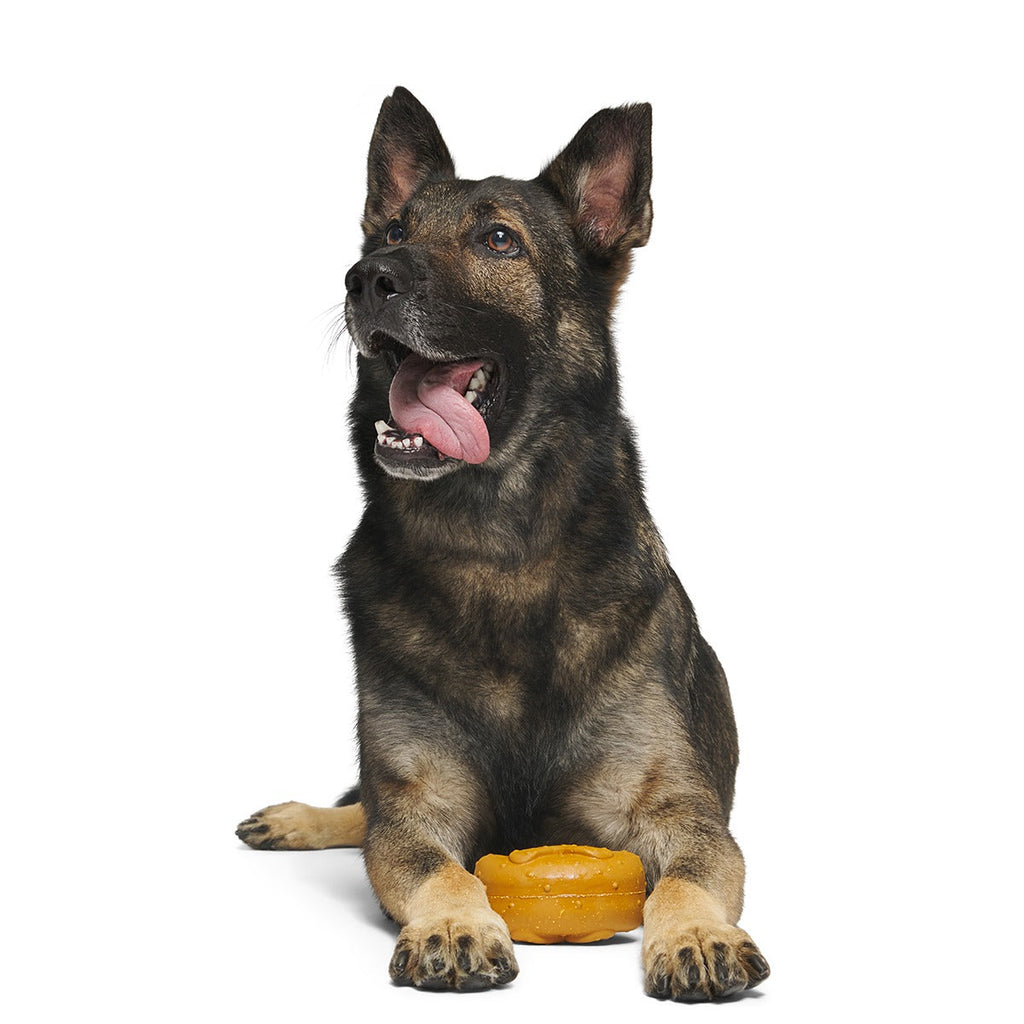 Barkvarian Pretzel Super Chewer Durable Fetch Dog Toy