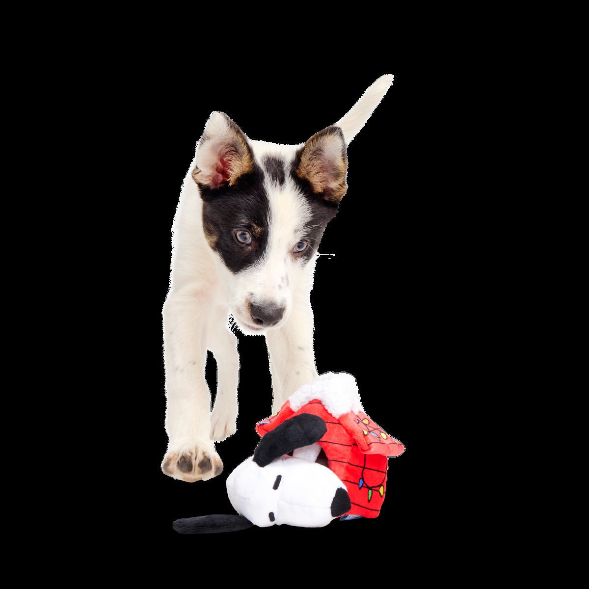 Doghouse Snoopy Plush Multi-Part Dog Toy