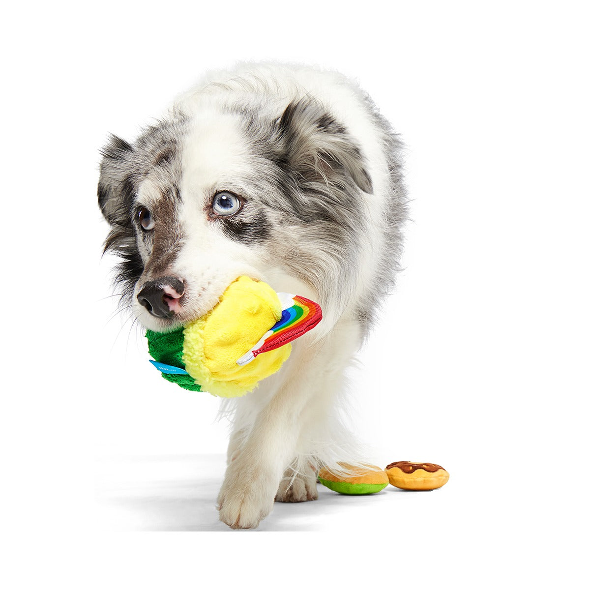 Patty Cakes Plush Multi-Part Dog Toy