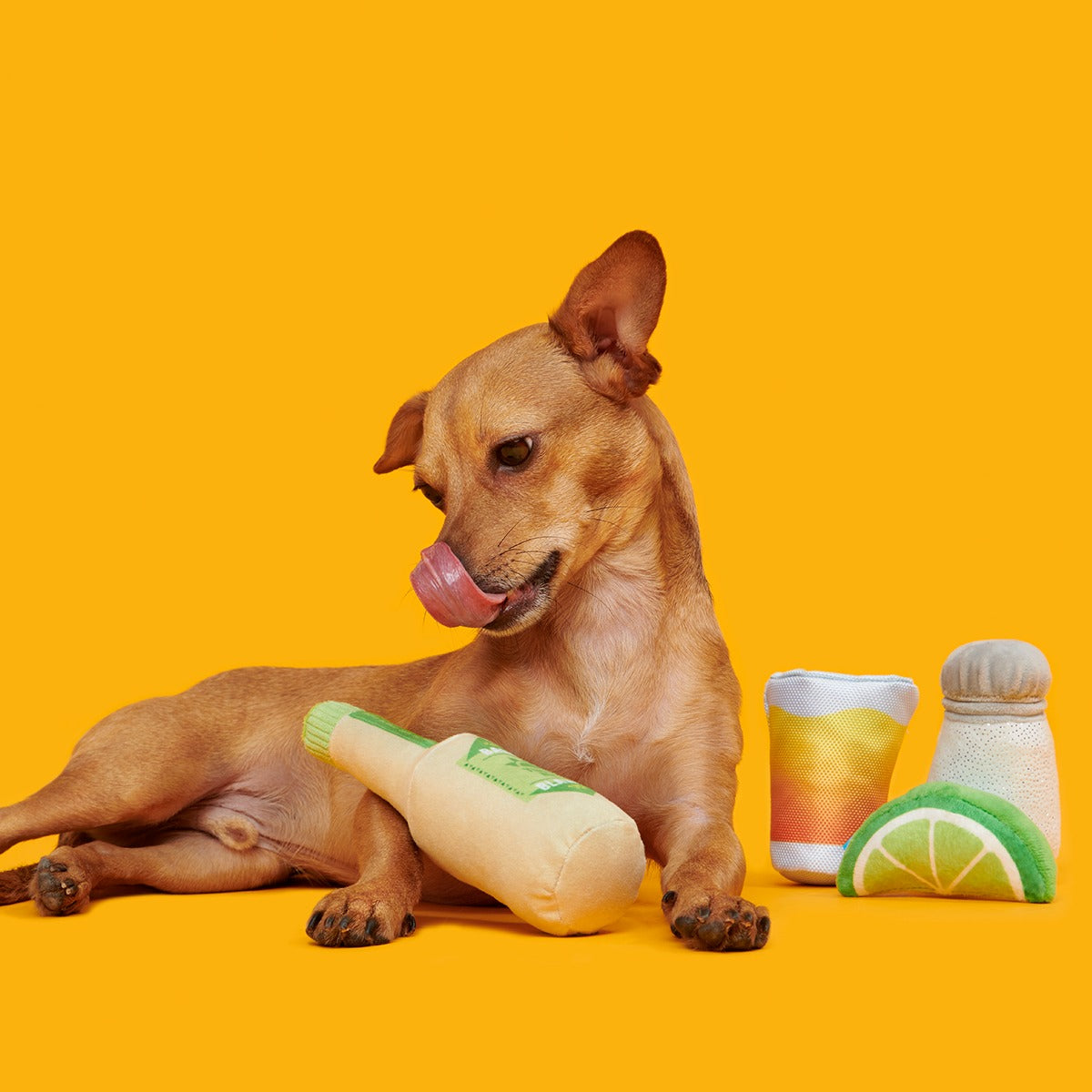 One Tugquila, Chew Tugquila Plush Multi-Part Dog Toy