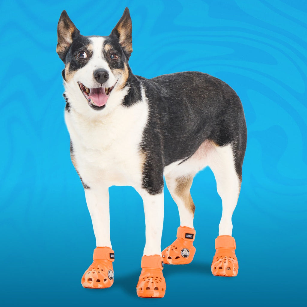 CrocsTM Shoes For Dogs
