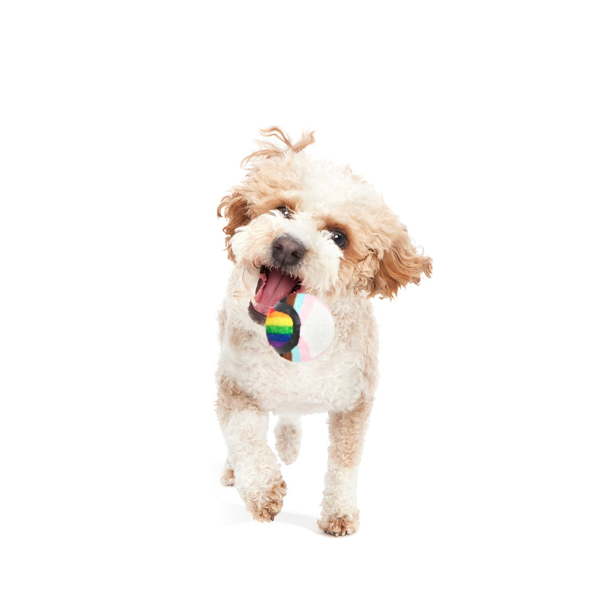 Fetch is Fetch Plush Multi-Part Dog Toy