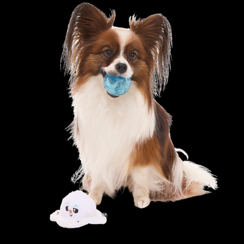 Slushy The Snowman Durable Super Chewer 2-in-1 Rip and Reveal Dog Toy