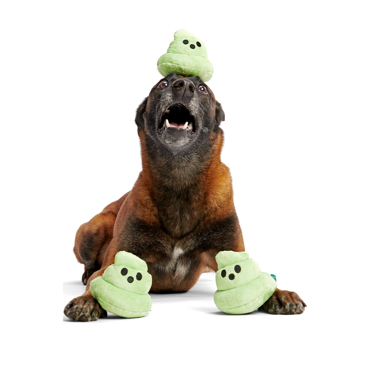 Spoopy Poopies Plush Multi-Part Dog Toy