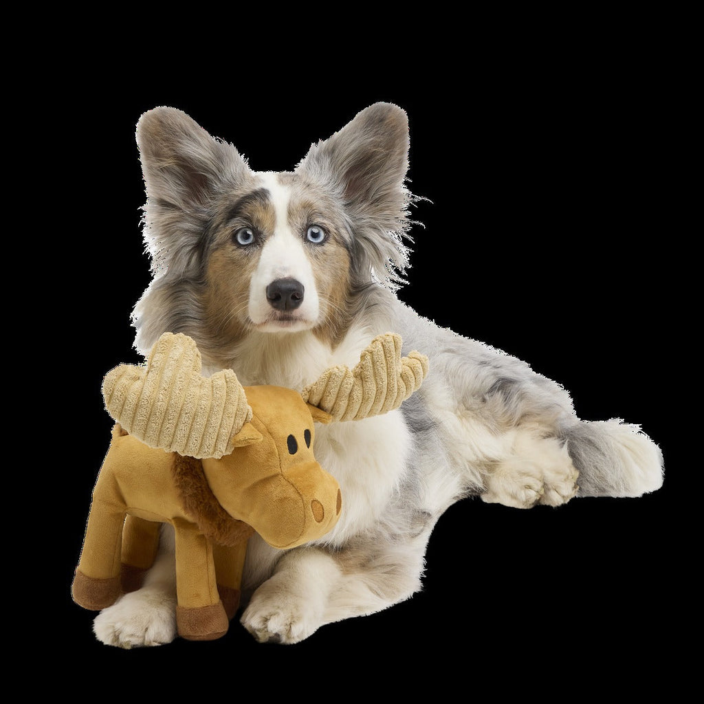 Melvin The Moose Plush Tug Dog Toy