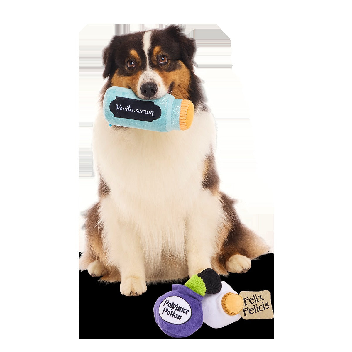 Potions Class PackTM Plush Multi-Part Dog Toy