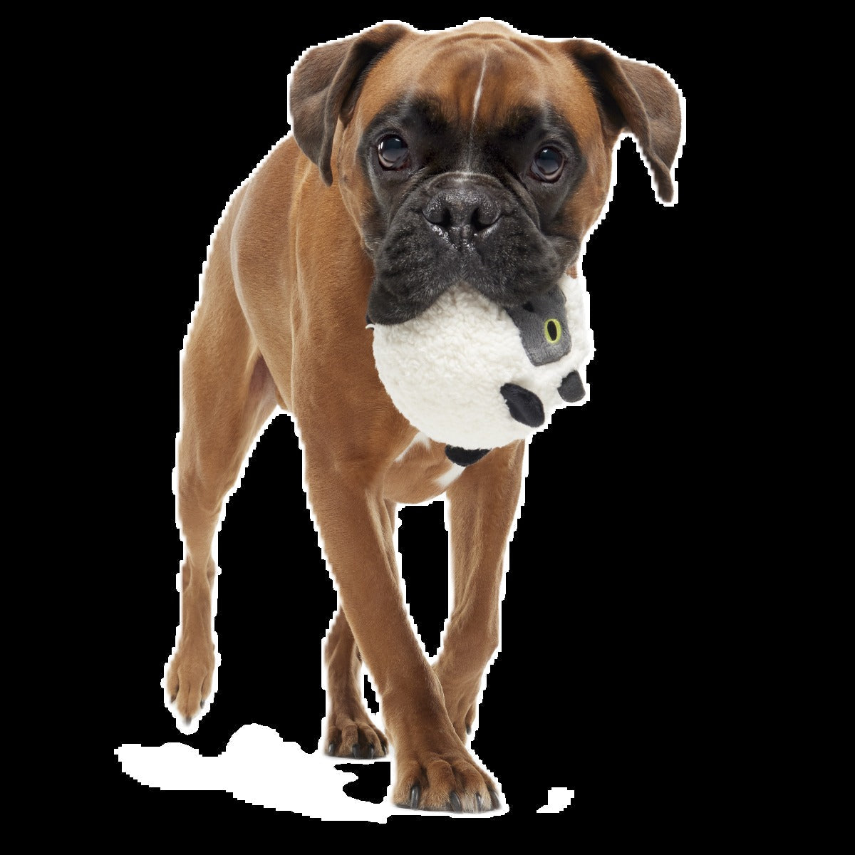 Little Bo Pup Super Chewer Durable Fetch + 2-in-1 Dog Toy