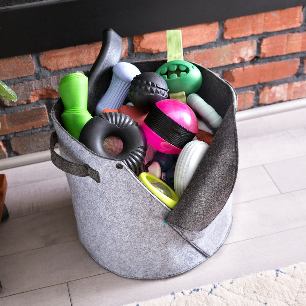 Felt Dog Toy Bin