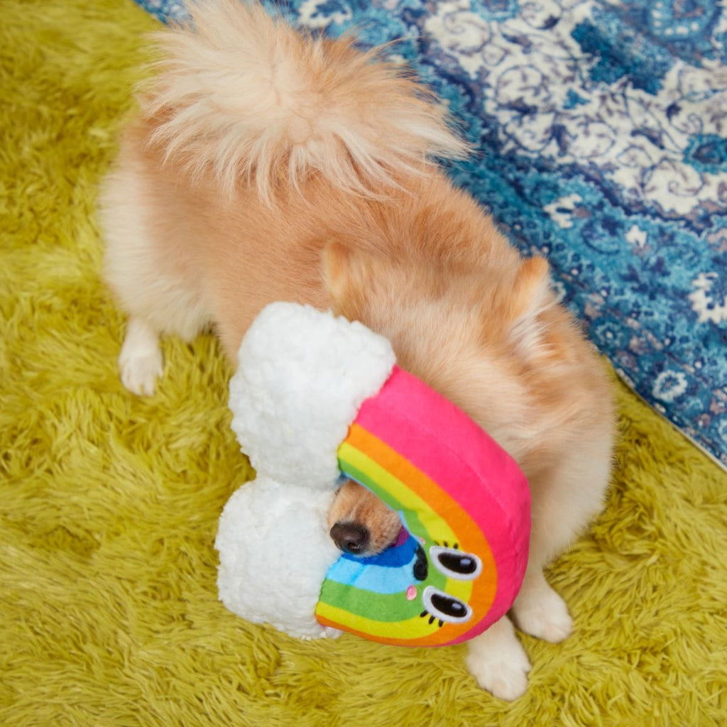 Mr. Blue Sky Plush Tug Dog Toy