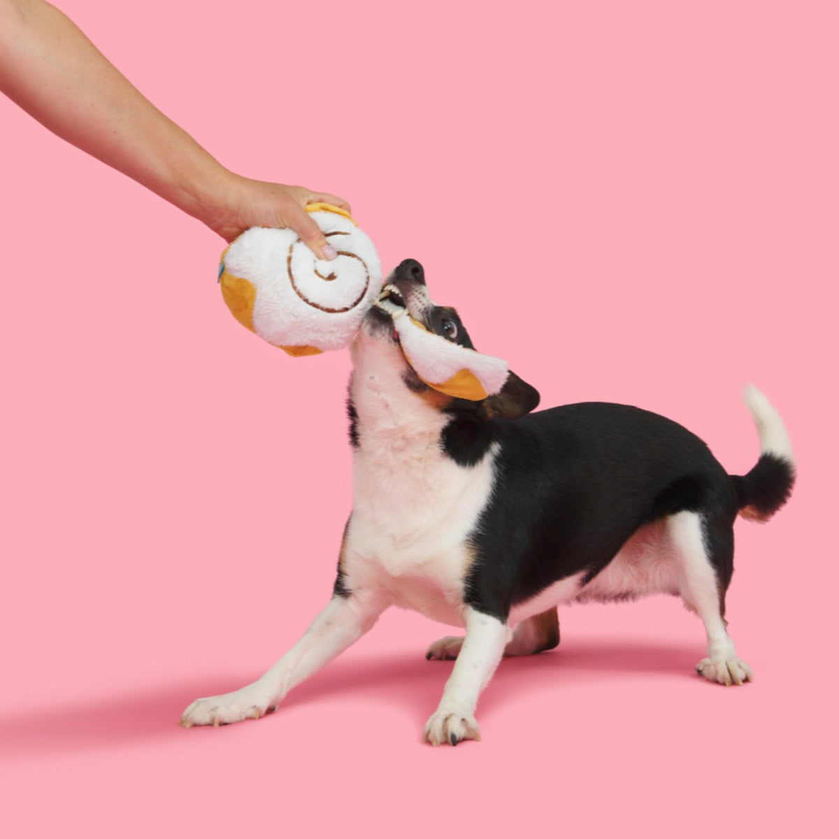 Cinnamon Growl Plush Enrichment Dog Toy