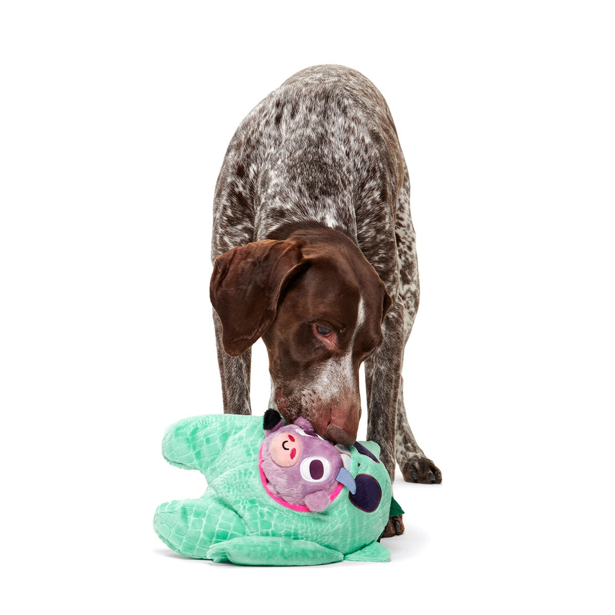 Barbara Chupacabra Plush Multi-Part + Enrichment + Tug Dog Toy