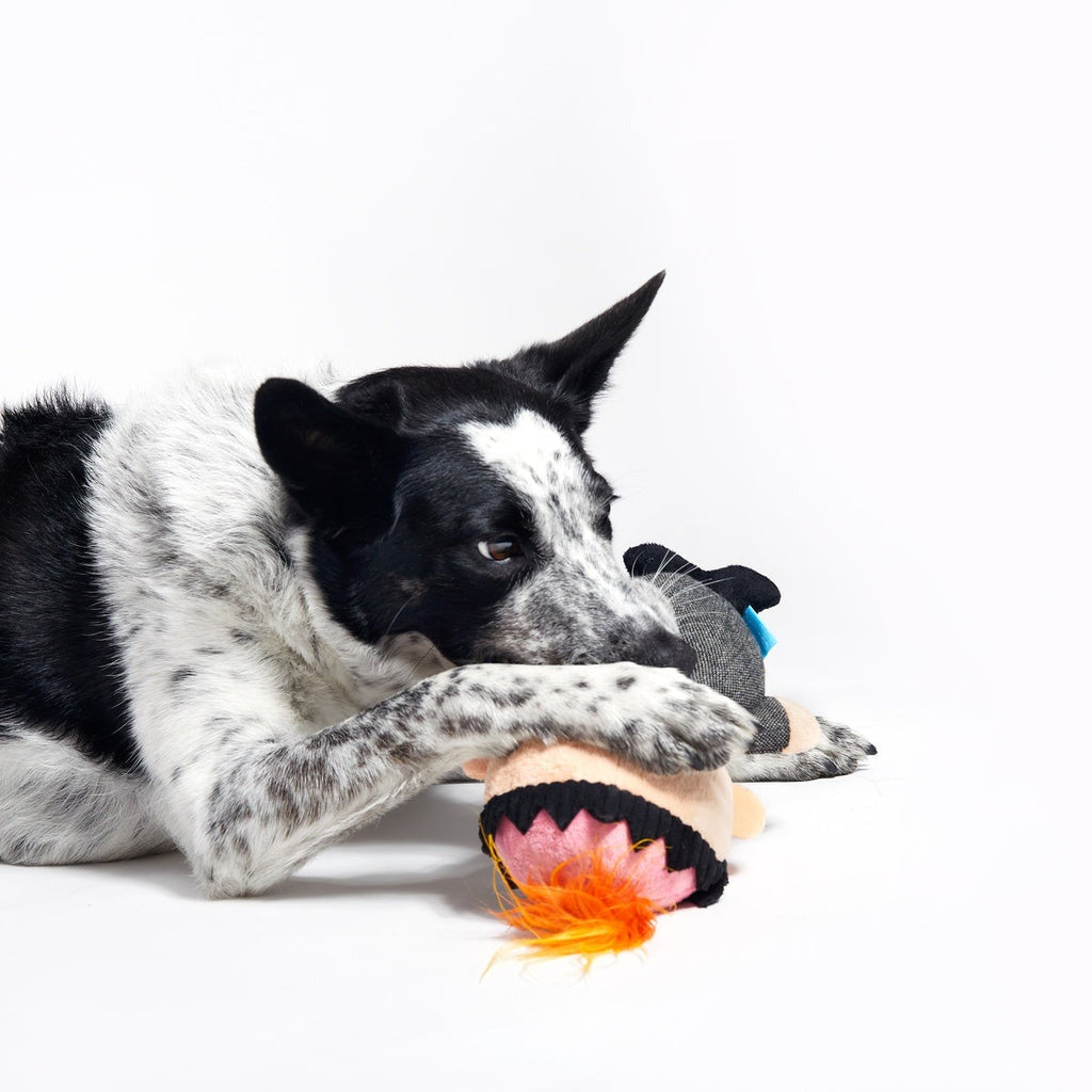 Harry Plush Dog Toy