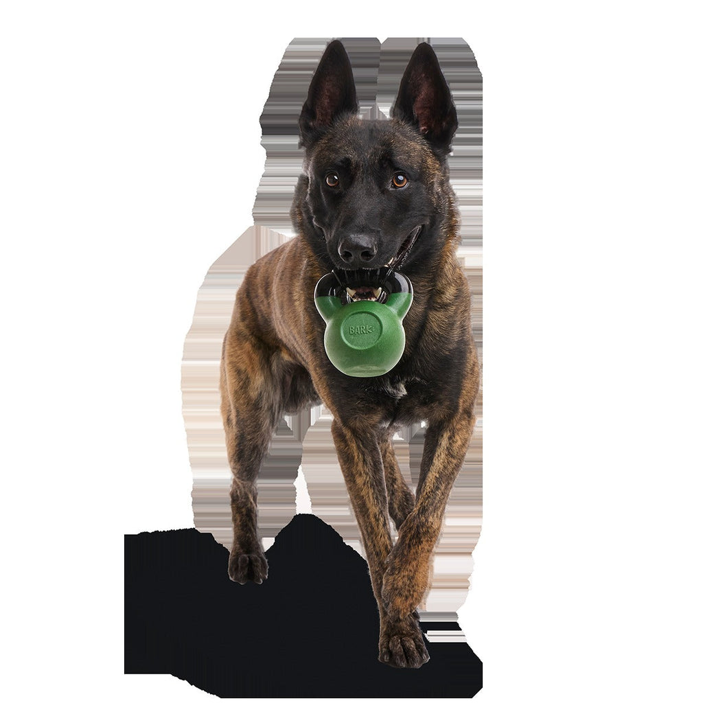 Gnawflex Kettlebell Super Chewer Durable Gnaw Dog Toy
