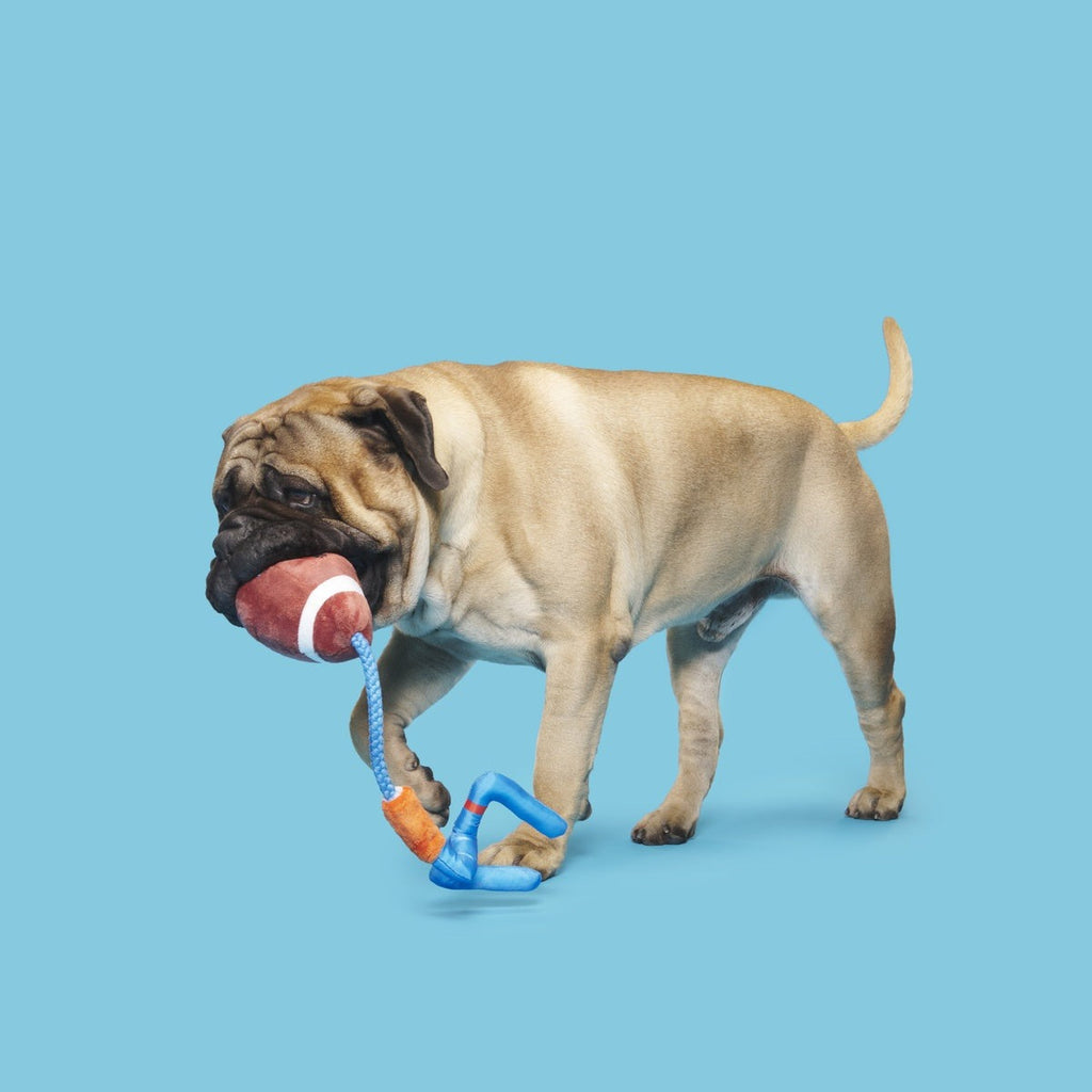 The Whole Canine Yards Plush Tug Dog Toy
