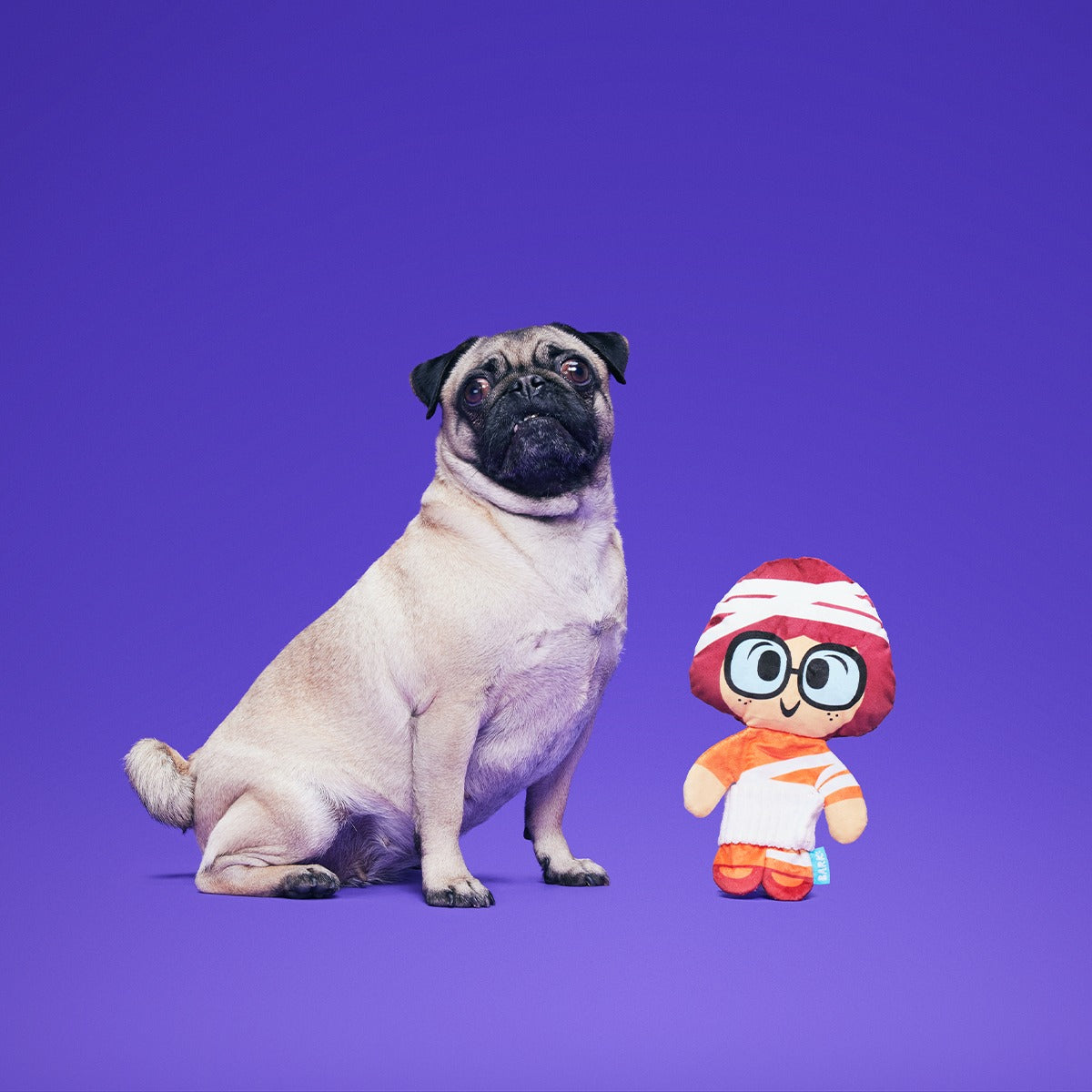 Mummy VelmaTM Plush Tug Dog Toy