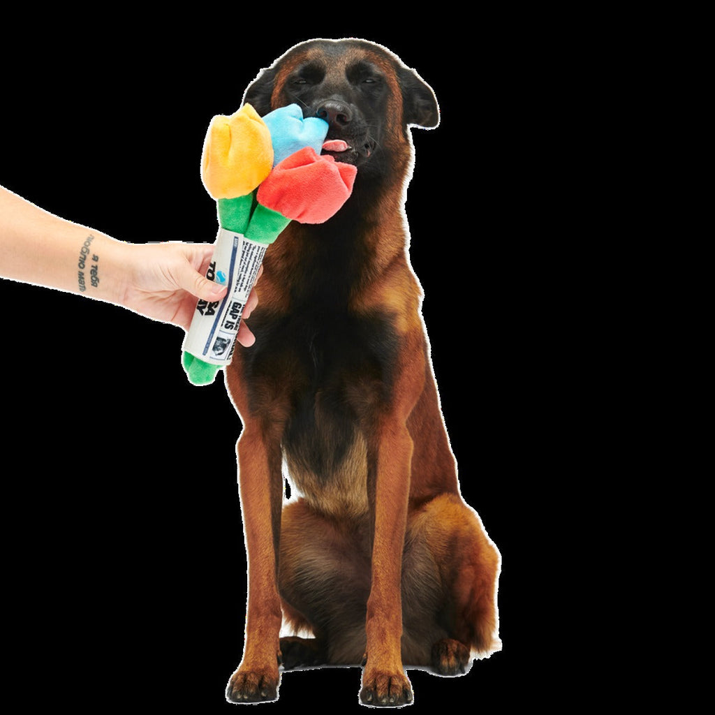 Cheer Up Boopquet Plush Tug + Multi-Part + Enrichment Dog Toy