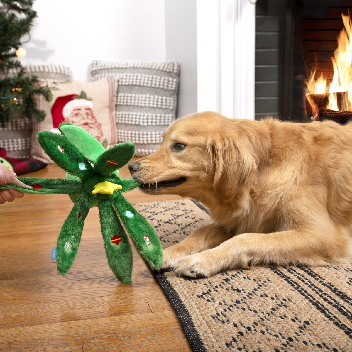 Holly Jolly Ollie Plush Tug Dog Toy