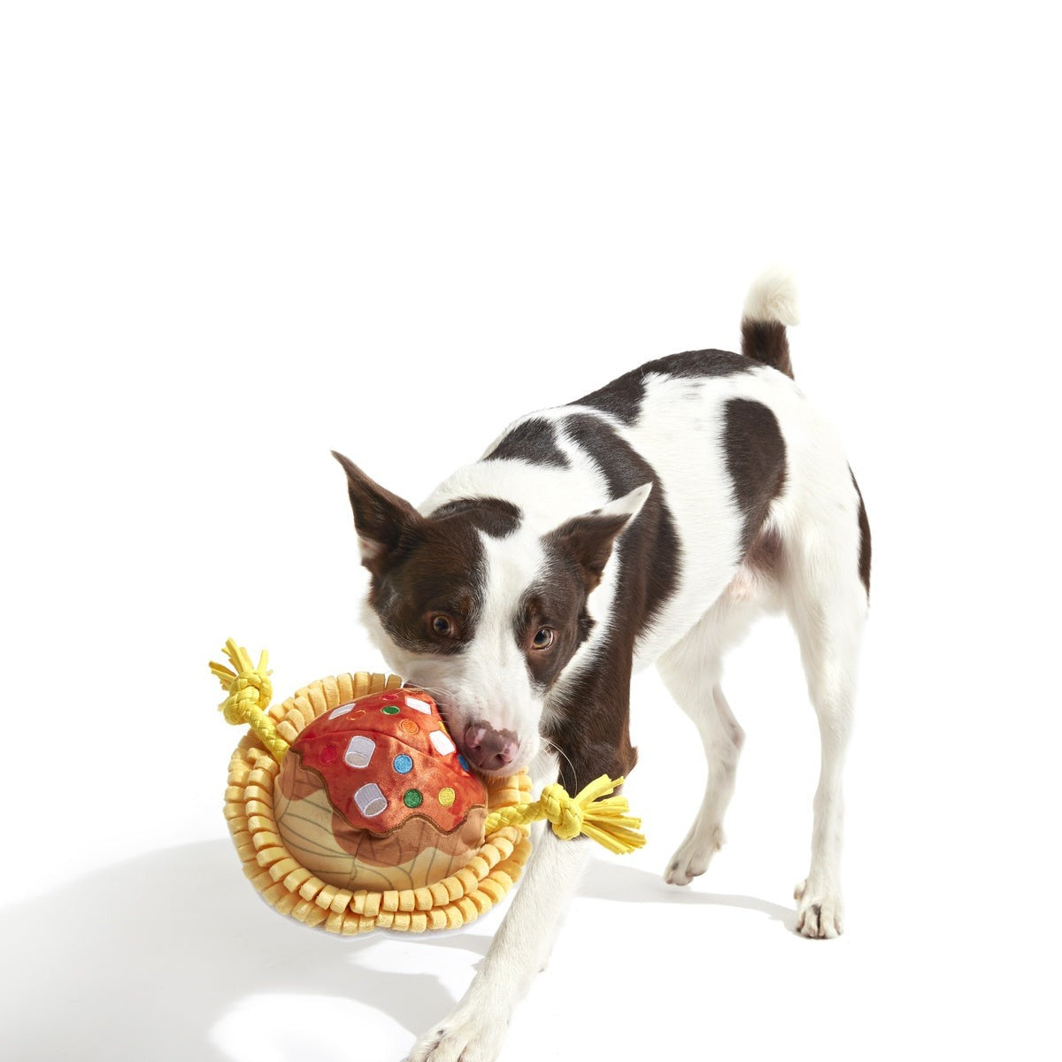 Candy Squeakghetti Plush Tug Dog Toy